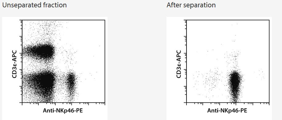 NKp46+ NK cells were isolated from BALB/c mouse spleen using the Anti-NKp46 MicroBead Kit, two consecutive MS Columns, and a MiniMACS Separator. Cells were fluorescently stained with CD3ε-APC and Anti-NKp46-PE and analyzed by flow cytometry using the MACSQuant Analyzer.